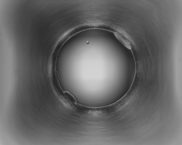 X0000111630440200907171530