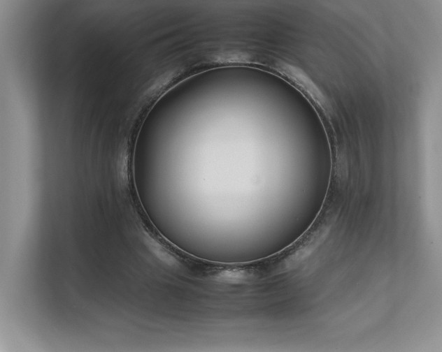 X0000111630441200907171530