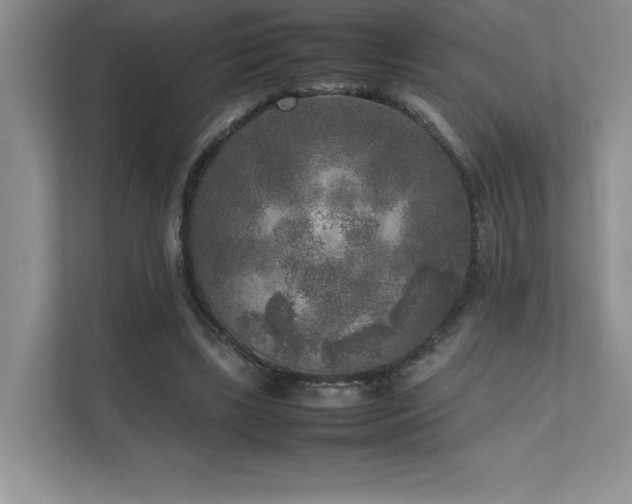 X0000111630443200907171530