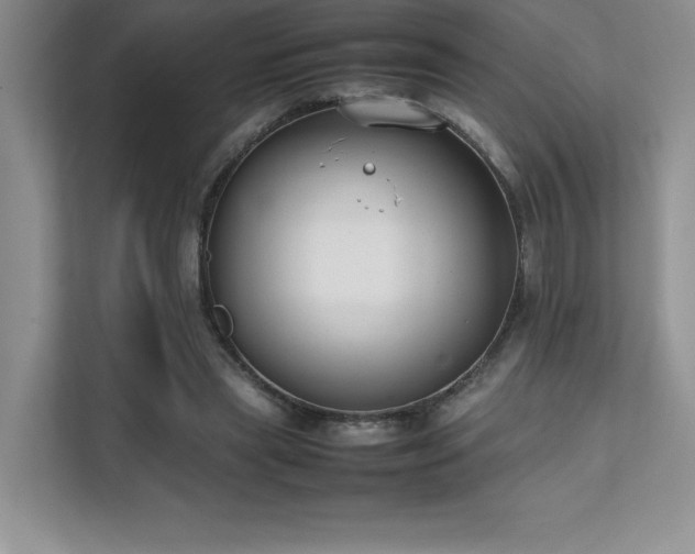 X0000111630445200907171530