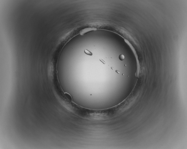 X0000111630448200907171530