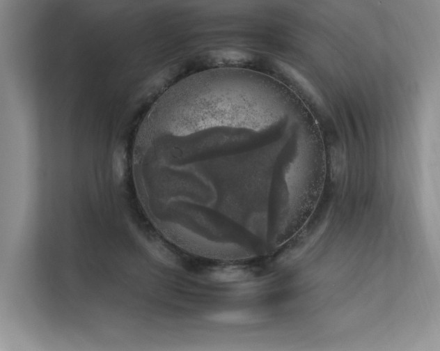 X0000111630451200907171530