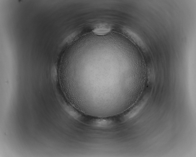 X0000111630453200907171530