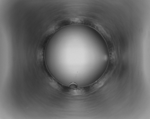 X0000111630466200907171530