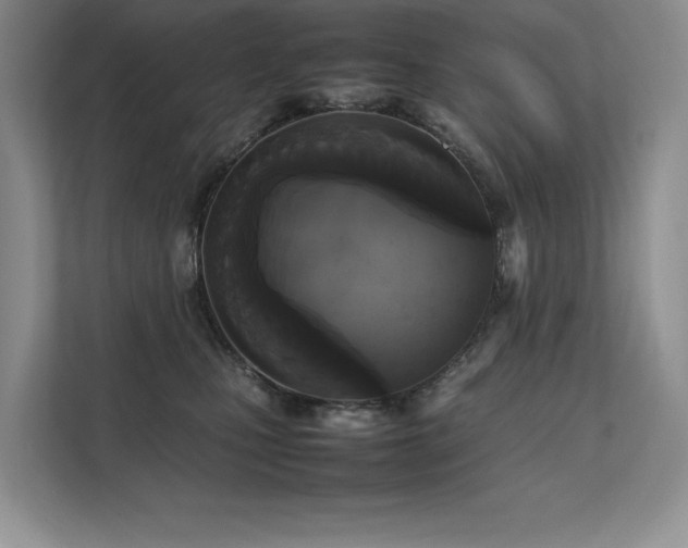 X0000111630471200907171530