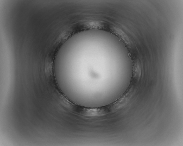 X0000111630473200907171530