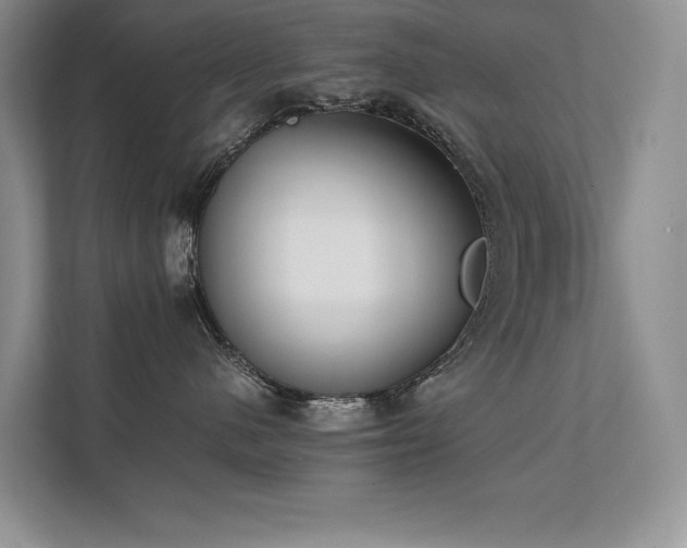 X0000111630480200907171530