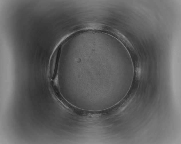 X0000111630484200907171530