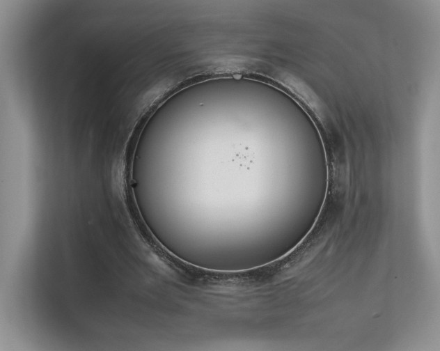 X0000111630485200907171530