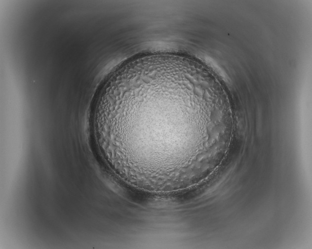 X0000111630487200907171530