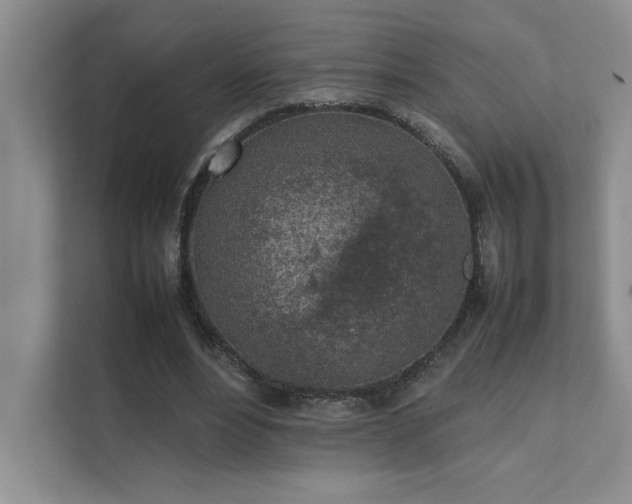 X0000111630488200907171530