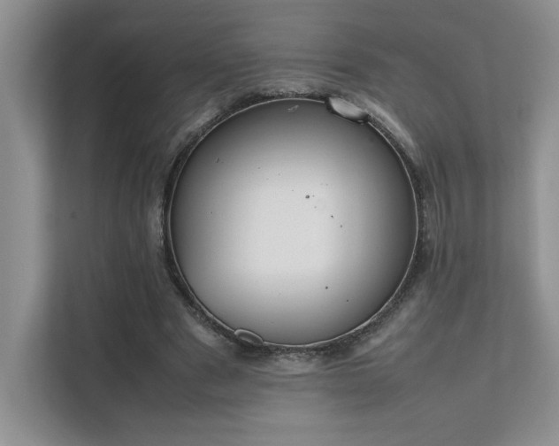 X0000111630489200907171530