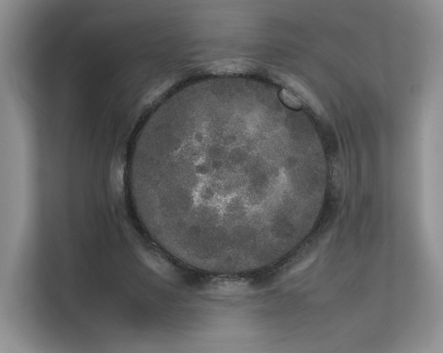 X0000111630491200907171530