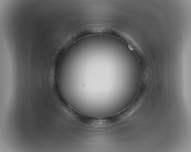 X0000111630497200907171530