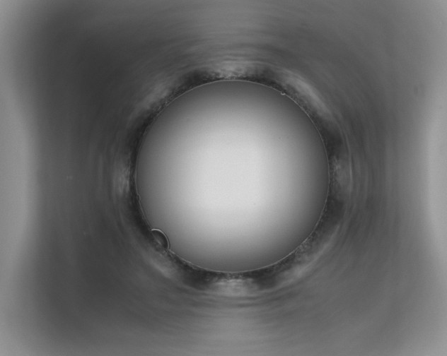 X0000111630499200907171530