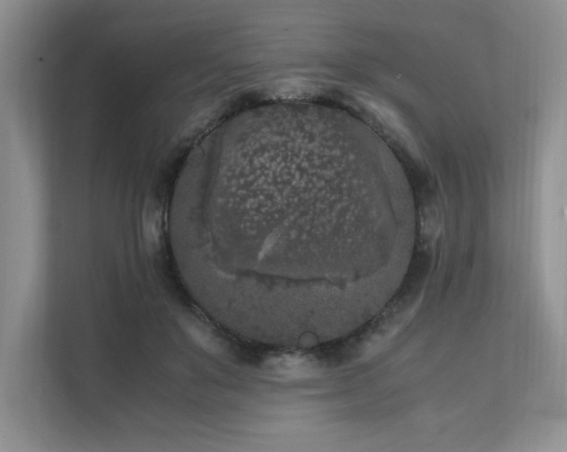 X0000111630503200907171529