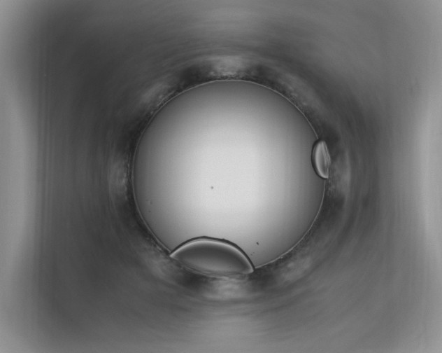 X0000111630505200907171529