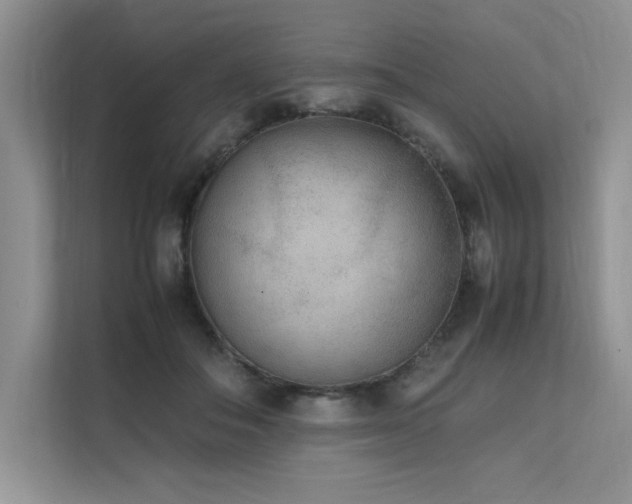 X0000111630506200907171529