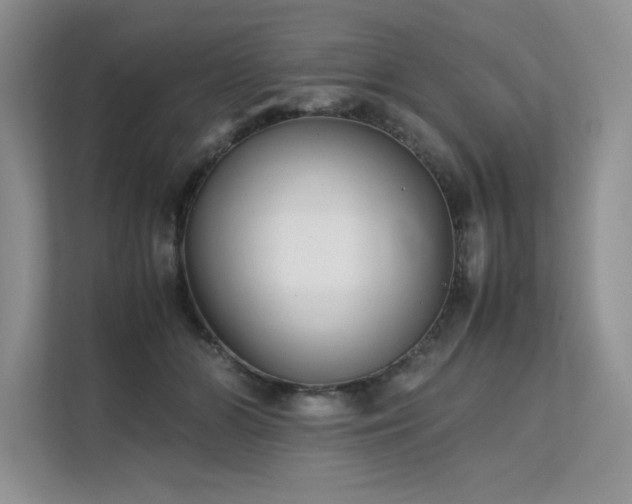 X0000111630510200907171529