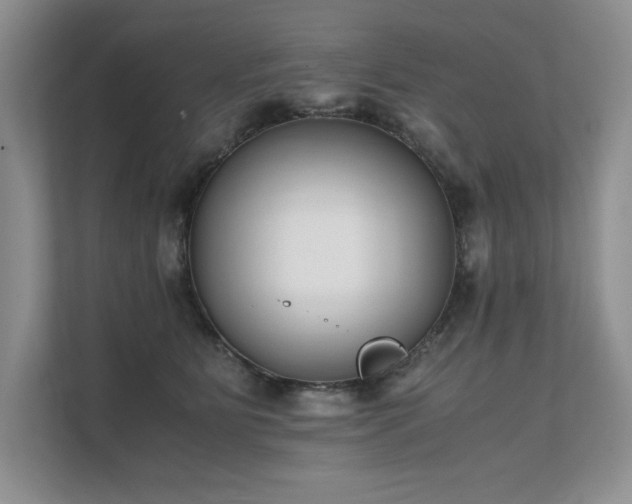 X0000111630515200907171529