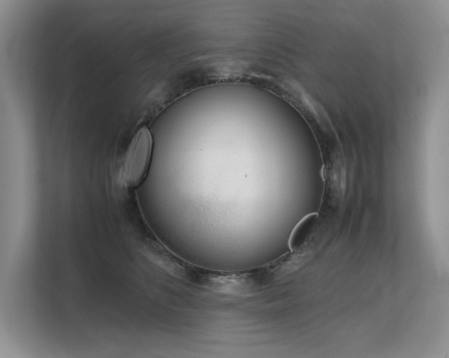 X0000111630516200907171529