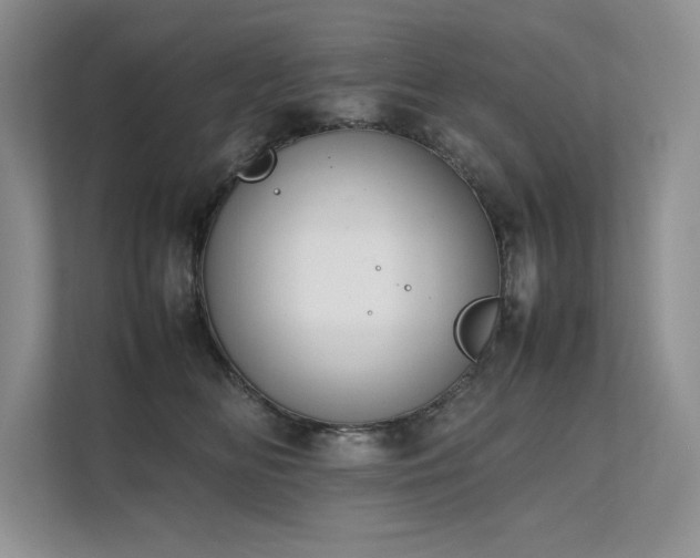 X0000111630518200907171529