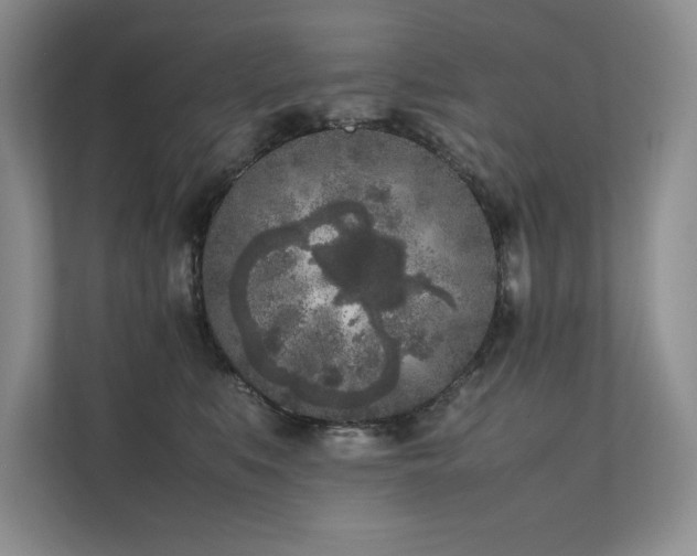 X0000111630519200907171529