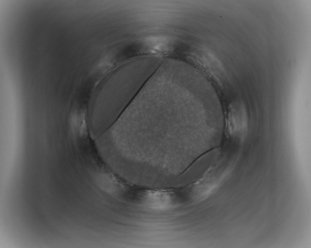 X0000111630520200907171529