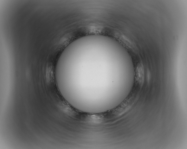 X0000111630522200907171529