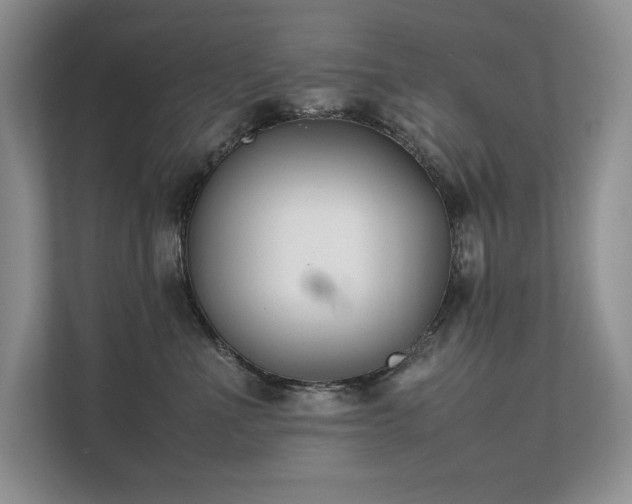 X0000111630523200907171529