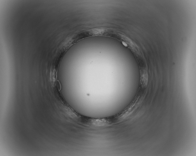 X0000111630525200907171529