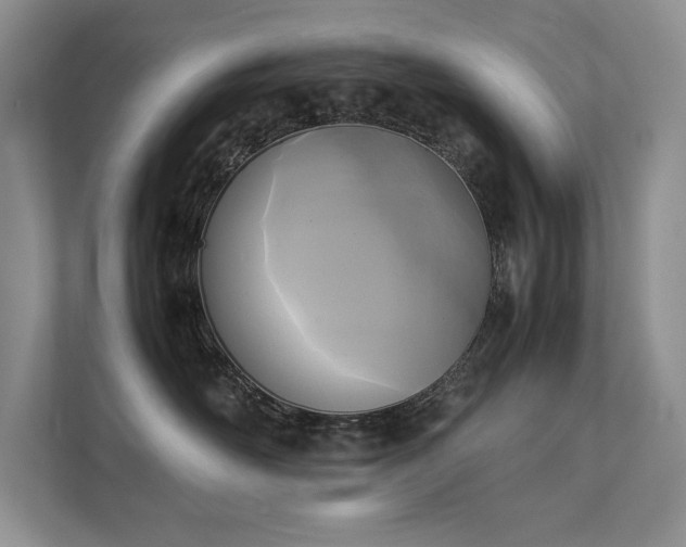 X0000111630526200907171529