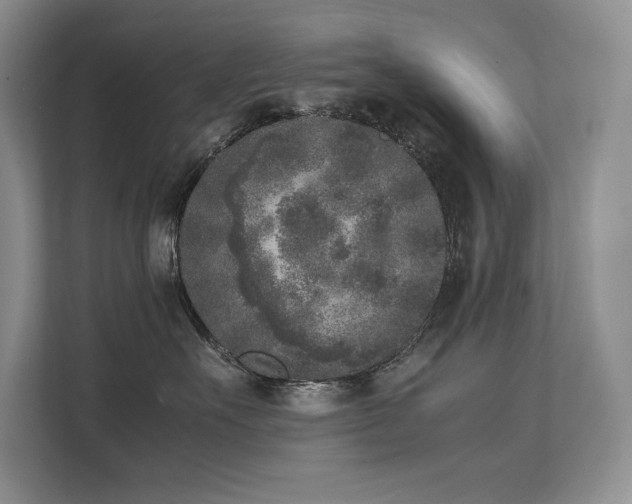 X0000111630527200907171529