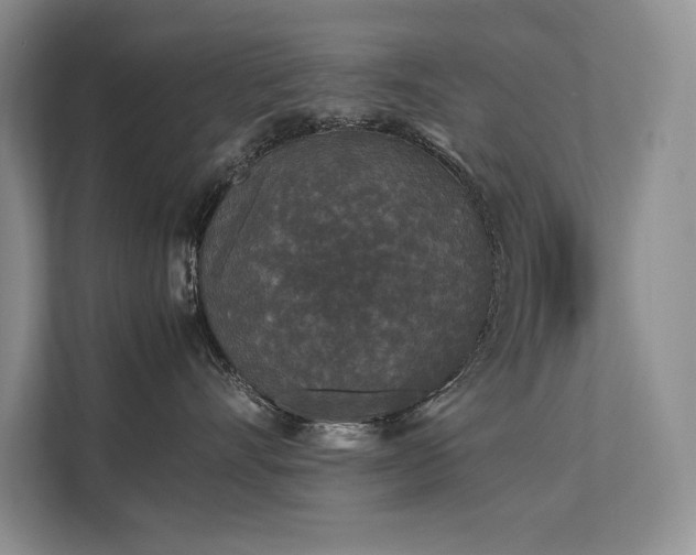 X0000111630528200907171529