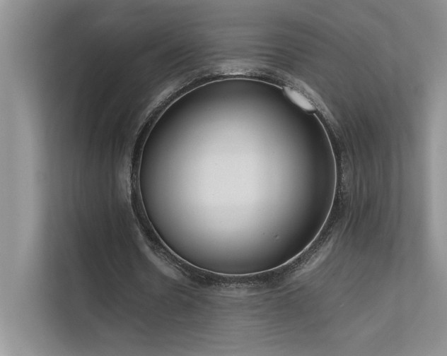 X0000111630530200907171529