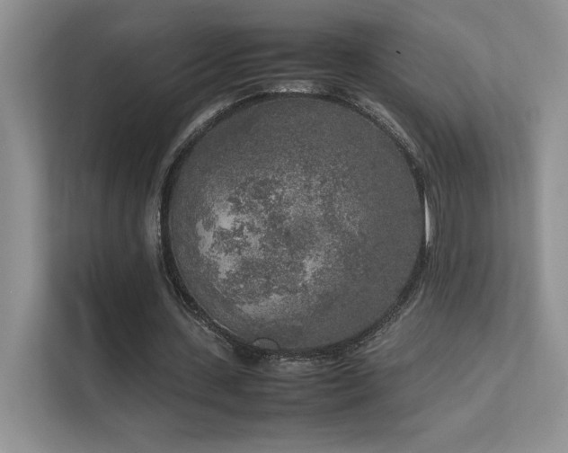 X0000111630531200907171529