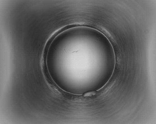 X0000111630532200907171529