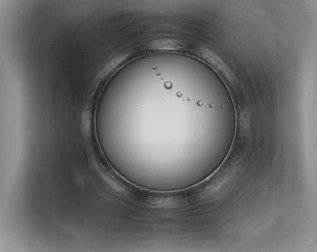 X0000111630533200907171529