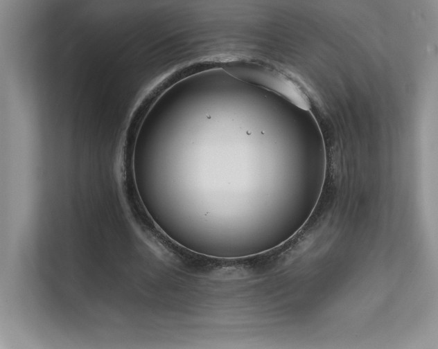 X0000111630536200907171529