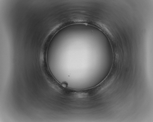 X0000111630539200907171529