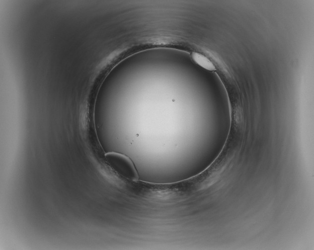 X0000111630540200907171529