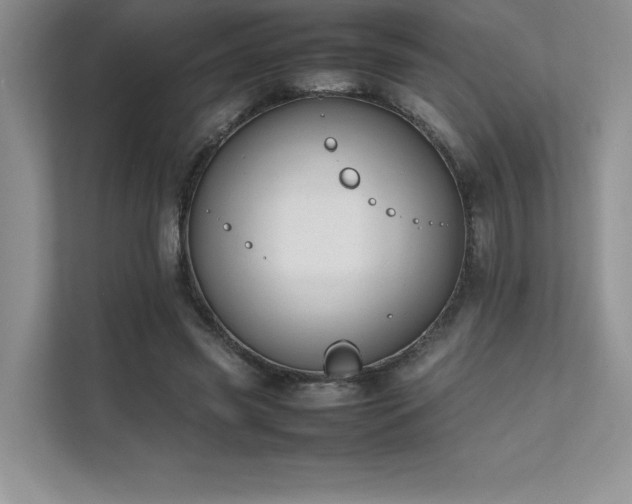 X0000111630541200907171529