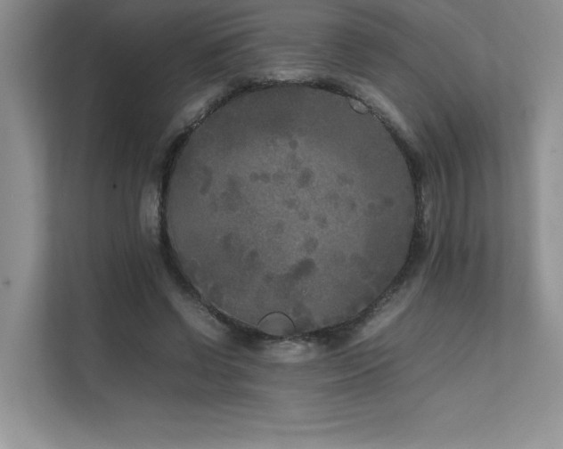 X0000111630542200907171529