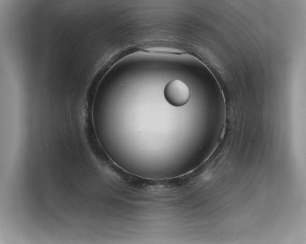 X0000111630544200907171529