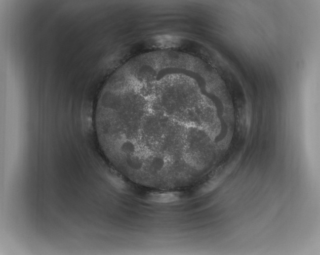 X0000111630553200907171529