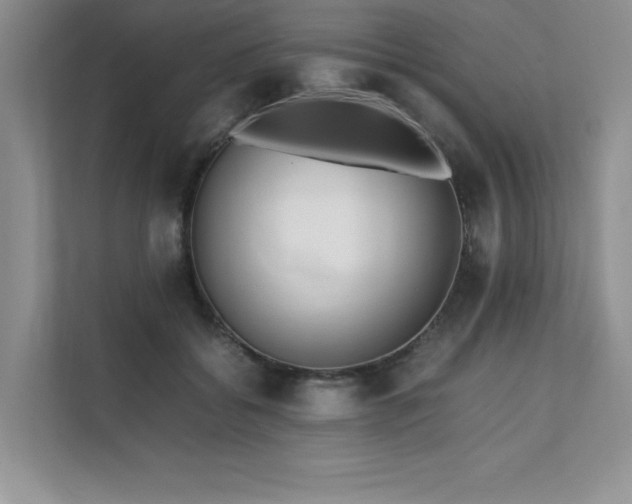 X0000111630556200907171529