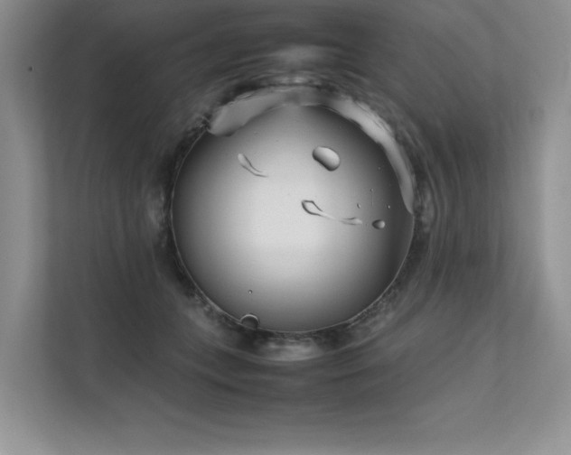 X0000111630559200907171529