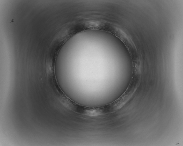 X0000111630561200907171529