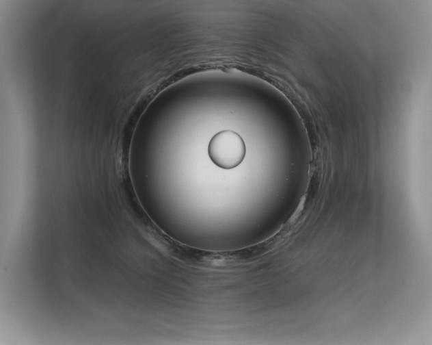 X0000111630564200907171529