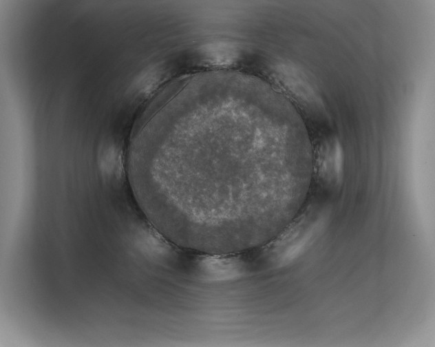 X0000111630568200907171529